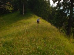 2013-07-20_Regina-F-Rau_Kochel-Rabenkopf (409).JPG